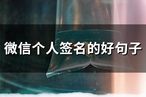 微信个人签名的好句子(60个)
