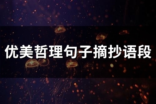优美哲理句子摘抄语段(精选66句)