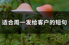 适合周一发给客户的短句(精选65句)