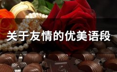 关于友情的优美语段(72句)