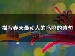 描写春天最动人的鸟鸣的诗句(精选40句)