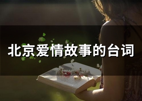 北京爱情故事的台词(79句)(北京爱情故事的演员表)