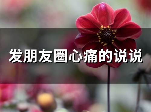 发朋友圈心痛的说说(精选80句)
