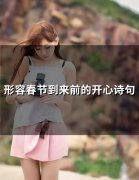 形容春节到来前的开心诗句(精选62句)