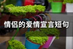 情侣的爱情宣言短句(精选63句)