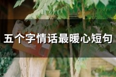 五个字情话最暖心短句(61句)