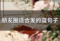 朋友圈适合发的逗句子(精选60句)