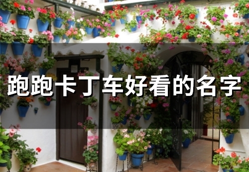 跑跑卡丁车好看的名字(精选89个)(跑跑卡丁车好看的游戏名字)