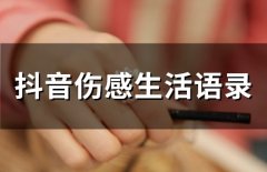 抖音伤感生活语录(精选65句)