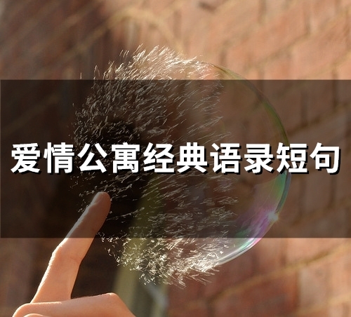 爱情公寓经典语录短句(精选73句)(爱情公寓经典语录励志)