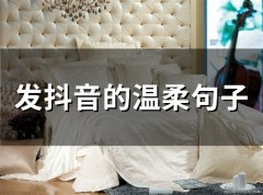 发抖音的温柔句子(精选76句)