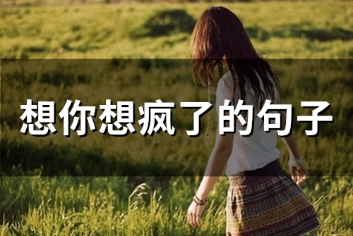 想你想疯了的句子(77句)(想你想疯了的句子说说)