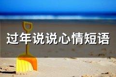 过年说说心情短语(66句)