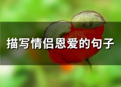 描写情侣恩爱的句子(精选66句)