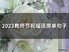 2023教师节祝福语简单句子(精选69句)