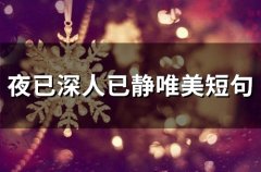 夜已深人已静唯美短句(精选75句)