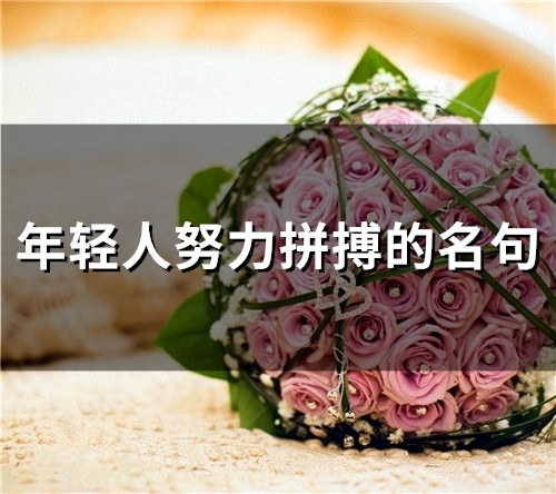 年轻人努力拼搏的名句(67个) 年轻人努力拼搏的名句(67个)