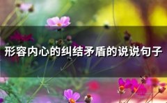 形容内心的纠结矛盾的说说句子(71句)