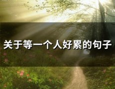 关于等一个人好累的句子(精选57句)