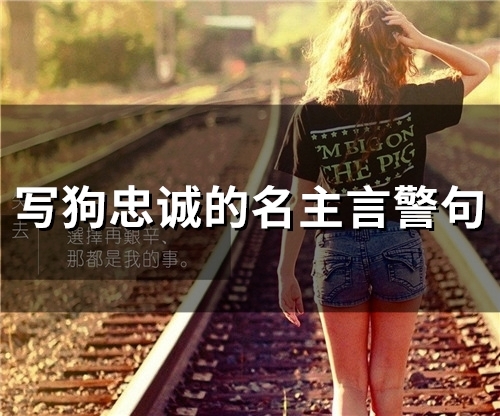写狗忠诚的名主言警句(67个)