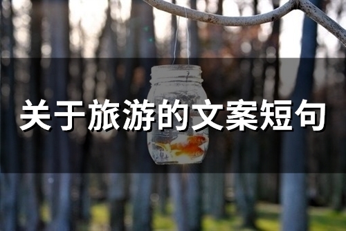 关于旅游的文案短句(精选79句)