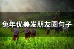 兔年优美发朋友圈句子(精选69句)
