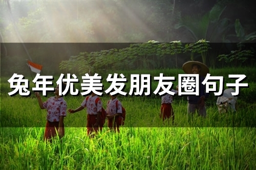 兔年优美发朋友圈句子(精选69句)