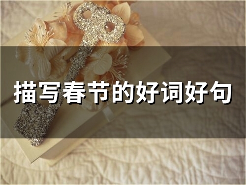 描写春节的好词好句(精选57句)