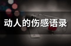 动人的伤感语录(精选71句)