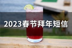 2023春节拜年短信(精选73句)