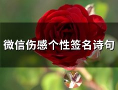 微信伤感个性签名诗句(78个)