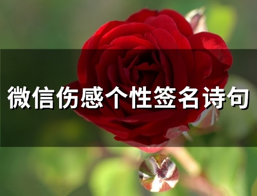 微信伤感个性签名诗句(78个)