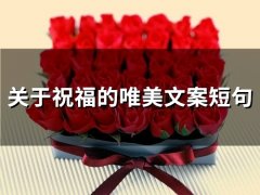 关于祝福的唯美文案短句(精选80句)