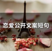 恋爱公开文案短句(73句)