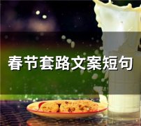 春节套路文案短句(精选80句)