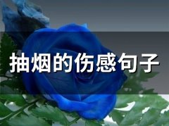 抽烟的伤感句子(精选73句)