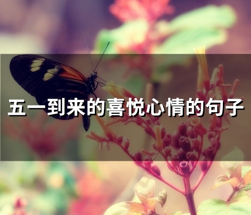 五一到来的喜悦心情的句子(精选50句) 五一到来之际