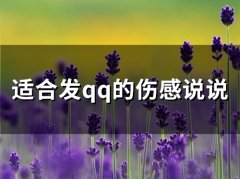 适合发qq的伤感说说(65句)