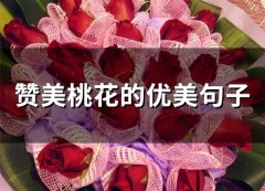赞美桃花的优美句子(精选35句)