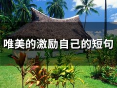 唯美的激励自己的短句(67句)