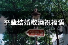 平辈结婚敬酒祝福语(35句)