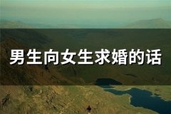 男生向女生求婚的话(67句)