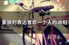 委婉的表达喜欢一个人的诗句(精选34句)