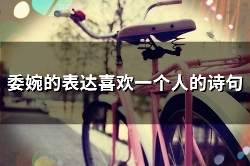 委婉的表达喜欢一个人的诗句(精选34句) 委婉的表达喜欢你