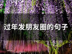 过年发朋友圈的句子(精选65句)
