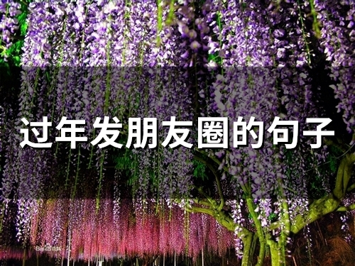 过年发朋友圈的句子(精选65句)