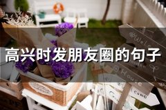 高兴时发朋友圈的句子(65句)