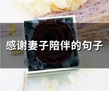 感谢妻子陪伴的句子(精选67句)