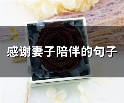 感谢妻子陪伴的句子(精选67句)
