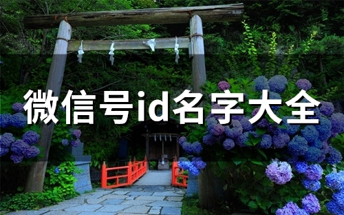 微信号id名字大全(148个)(微信号id名字大全女)